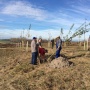 img_9205.jpg
